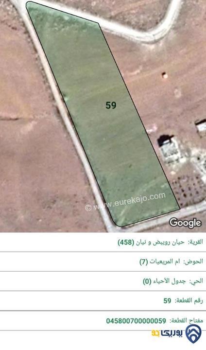 قطعة ارض مساحة 6726م للبيع في المفرق-حيان رويبض ونيان