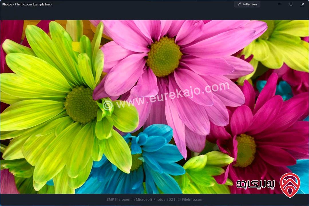 شقه كبيره للبيع