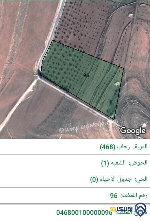 قطعة ارض مساحة 14856م للبيع في المفرق-رحاب