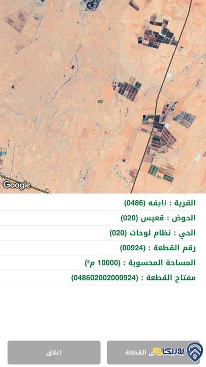 ارض مساحة 10 دونم للبيع في نايفه- المفرق