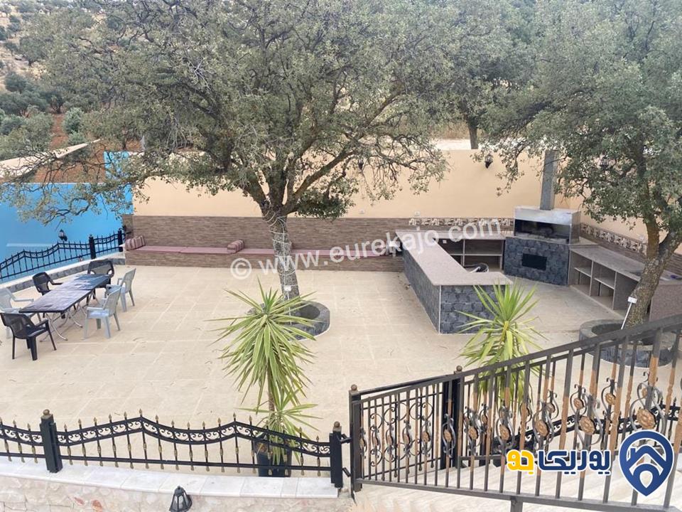 مزرعه رقم 155 للإيجار في شارع الاردن العالوك