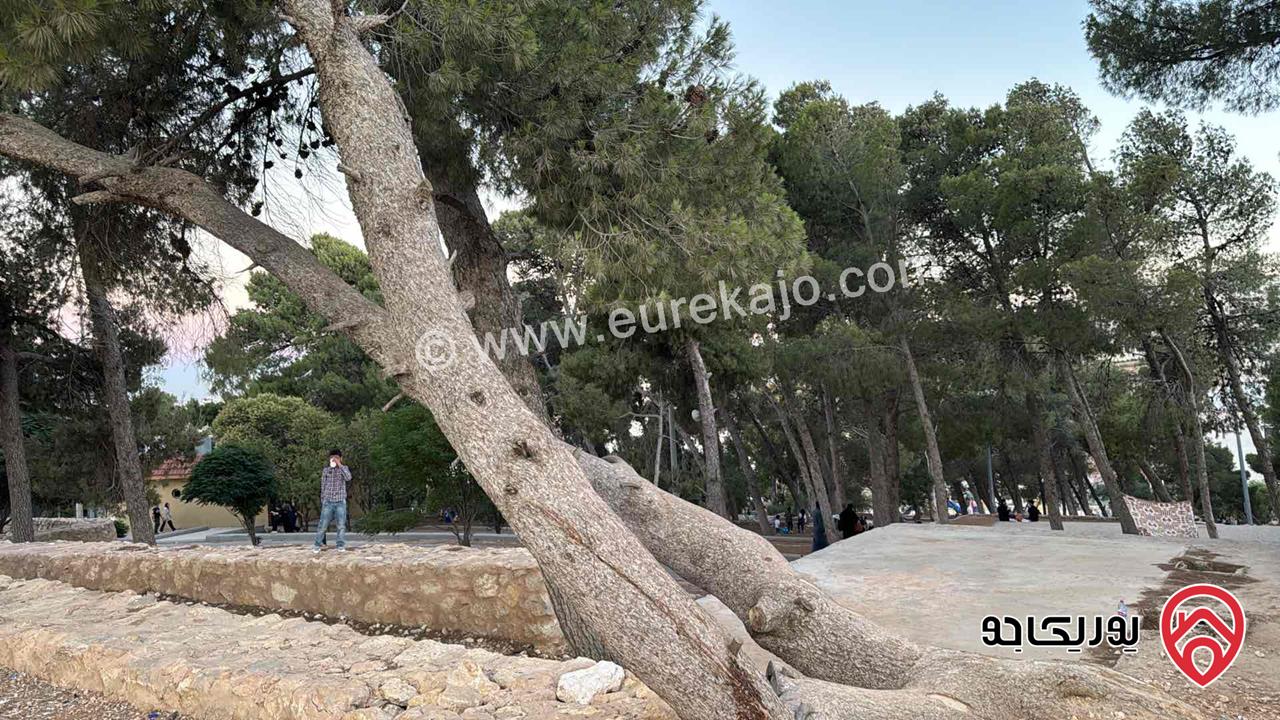 عمار للبيع ماب تست