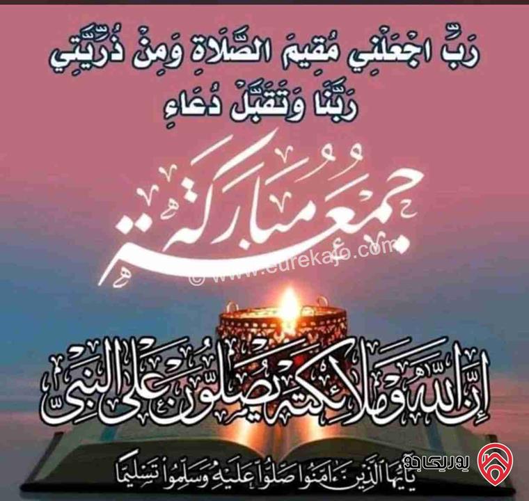 مزرعع