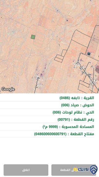ارض للبيع مساحة 9999م في نايفة/المفرق