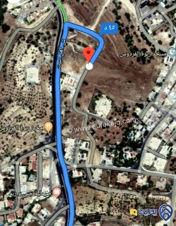 قطعة ارض مساحة 8000م للبيع في دابوق-عمان