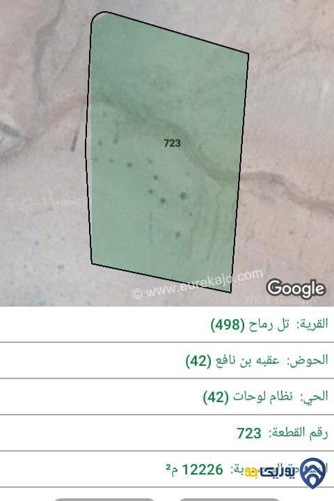 ارض للبيع مساحة 12226م في تل رماح - المفرق