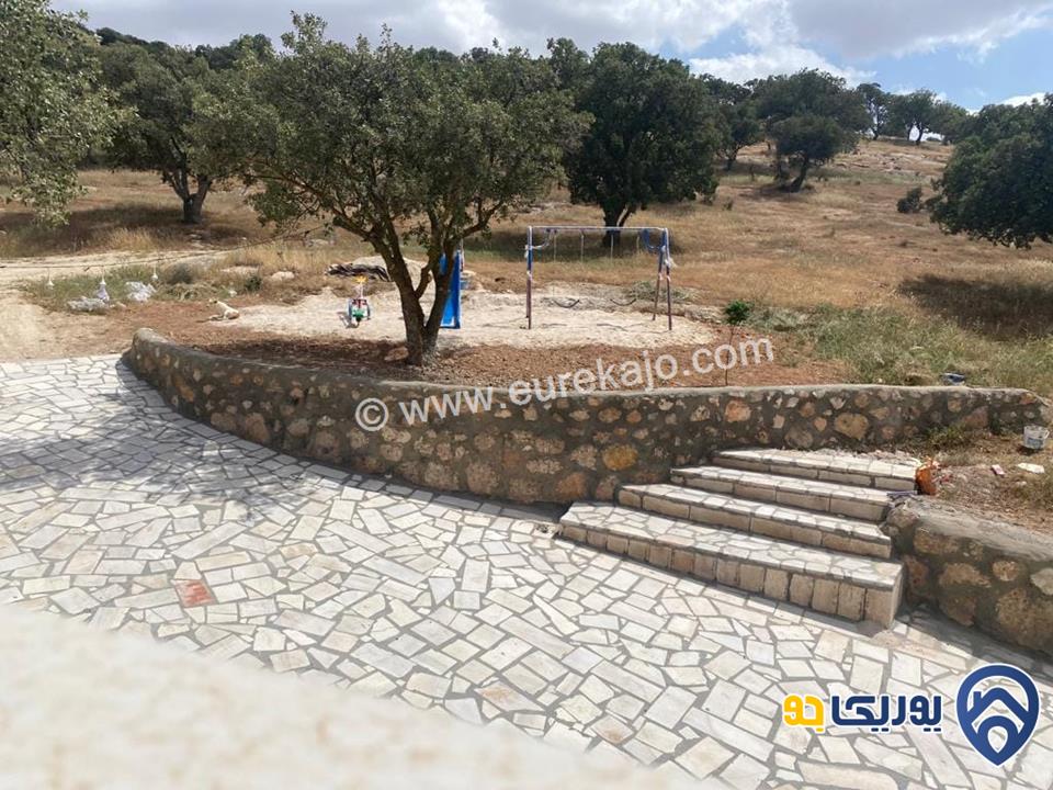 مزرعه رقم 155 للإيجار في شارع الاردن العالوك