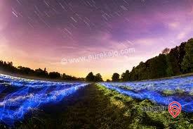 شقه كبيره للبيع