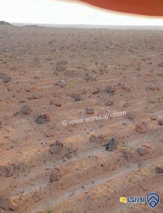 ارض للبيع مساحة 10000م بسعر مغري جدا في المفرق