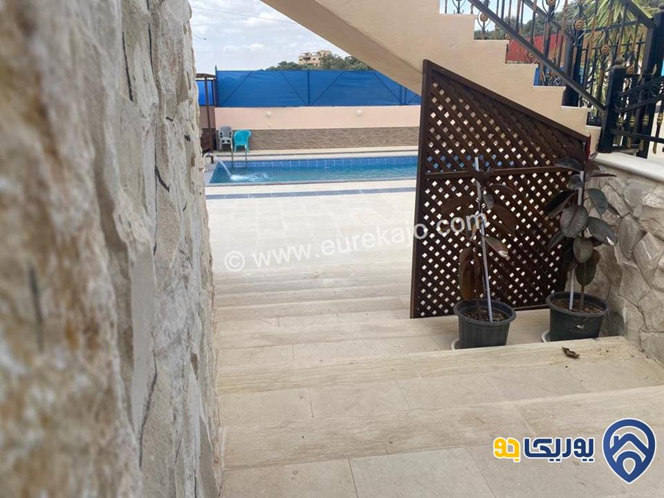 مزرعه رقم 155 للإيجار في شارع الاردن العالوك