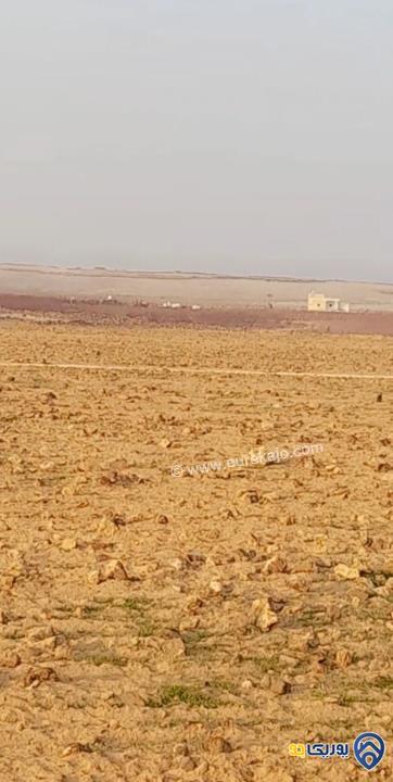 ارض للبيع مساحة 10000م بسعر مغري جدا في المفرق