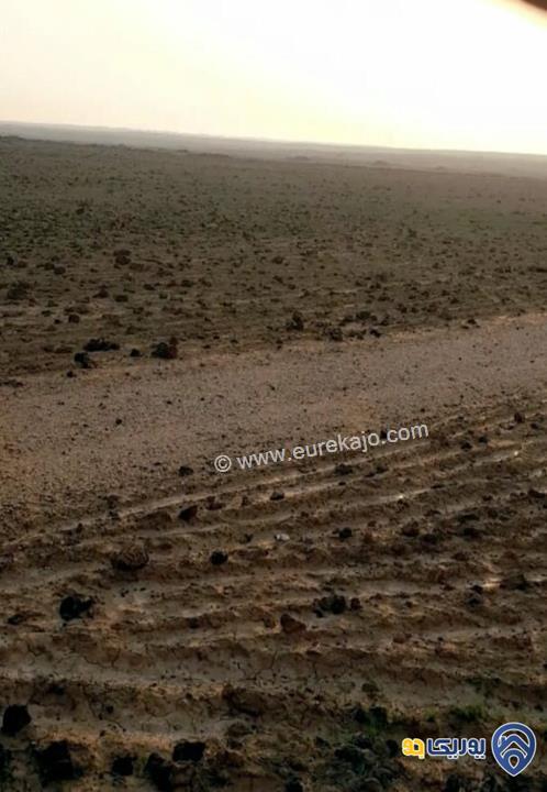 ارض مساحة 10 دونم للبيع في نايفه- المفرق