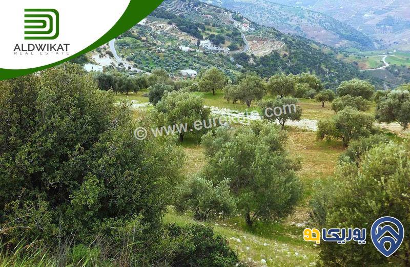 ارض للبيع مساحة الارض 780م في بدر الجديدة