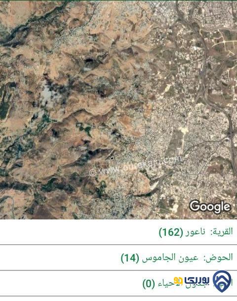 ارض مميزة مساحة 4 دونم للبيع في ناعور -عمان