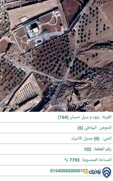 قطعة ارض زراعية مساحة 7793 م للبيع في ناعور 