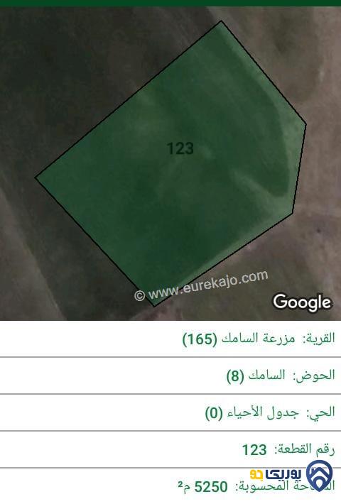 ارض للبيع مساحة 5250م في ناعور - عمان