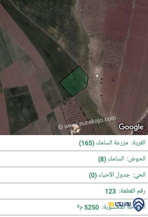 ارض للبيع مساحة 5250م في ناعور - عمان
