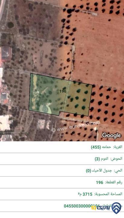 قطعة ارض مساحة 3715م للبيع في المفرق-حمامه