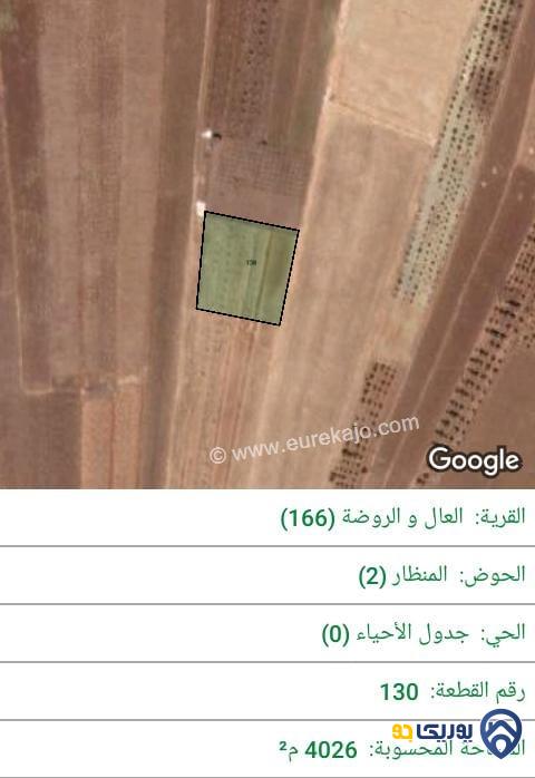 ارض للبيع مساحة 4026م في ناعور - عمان