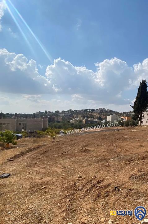 للبيع أرض في منطقة بدر الجديدة قريبة جدا من دوار أم الأسود ( دوار السنبلة ) من المالك مباشرة مساحة الارض ( 753 متر مربع ) 