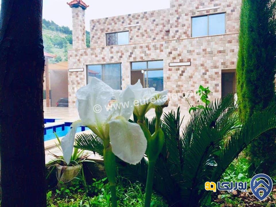مزرعة للايجار اليومي في شارع الاردن 