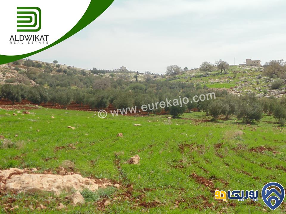 ارض للبيع مساحة الارض 750م في بدر الجديدة 