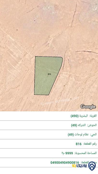 قطعة ارض مساحة 9999م للبيع في المفرق-البشرية
