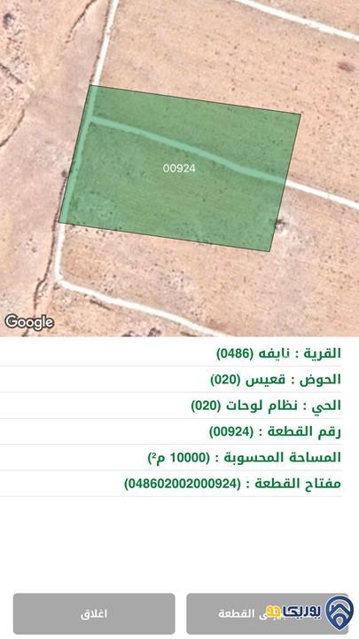 ارض مساحة 10 دونم للبيع في نايفه- المفرق
