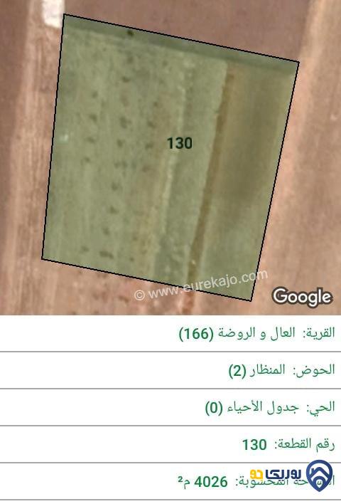 ارض للبيع مساحة 4026م في ناعور - عمان