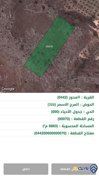 ارض للبيع مساحة 8883م في المدور/المفرق