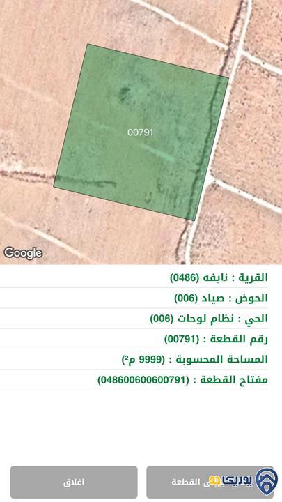 ارض للبيع مساحة 9999م في نايفة/المفرق