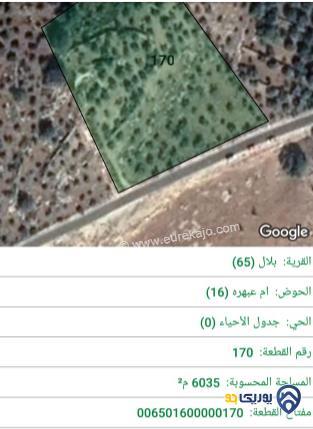 قطعة ارض في زبدة - منطقة بدر الجديدة للبيع 6035 م 