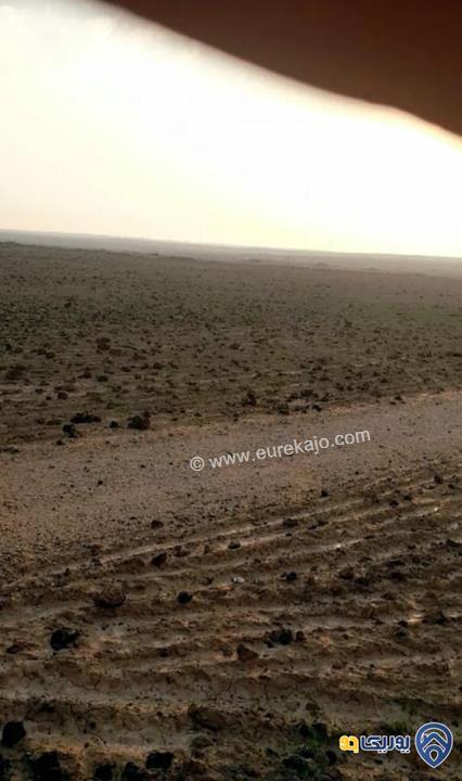 ارض للبيع مساحة 10000م بسعر مغري جدا في المفرق