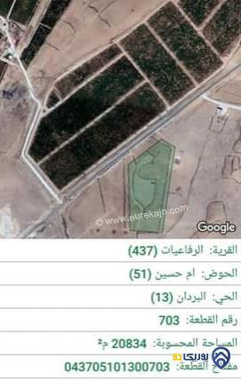 قطعة ارض مساحة 20834 م للبيع في الرفاعيات - المفرق 
